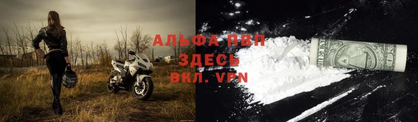 винт Арсеньев