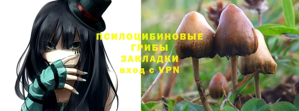 ешки Балахна
