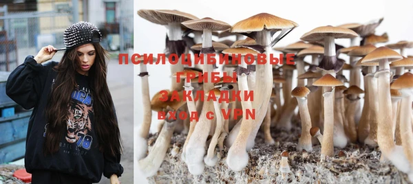 прущая мука Балабаново