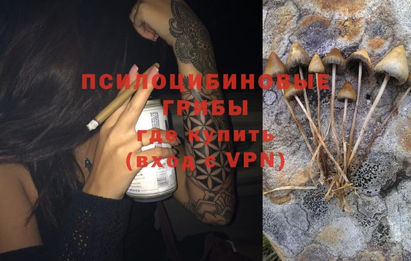 винт Арсеньев