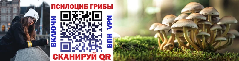 omg tor  дарнет шоп  Белогорск  Псилоцибиновые грибы мухоморы 